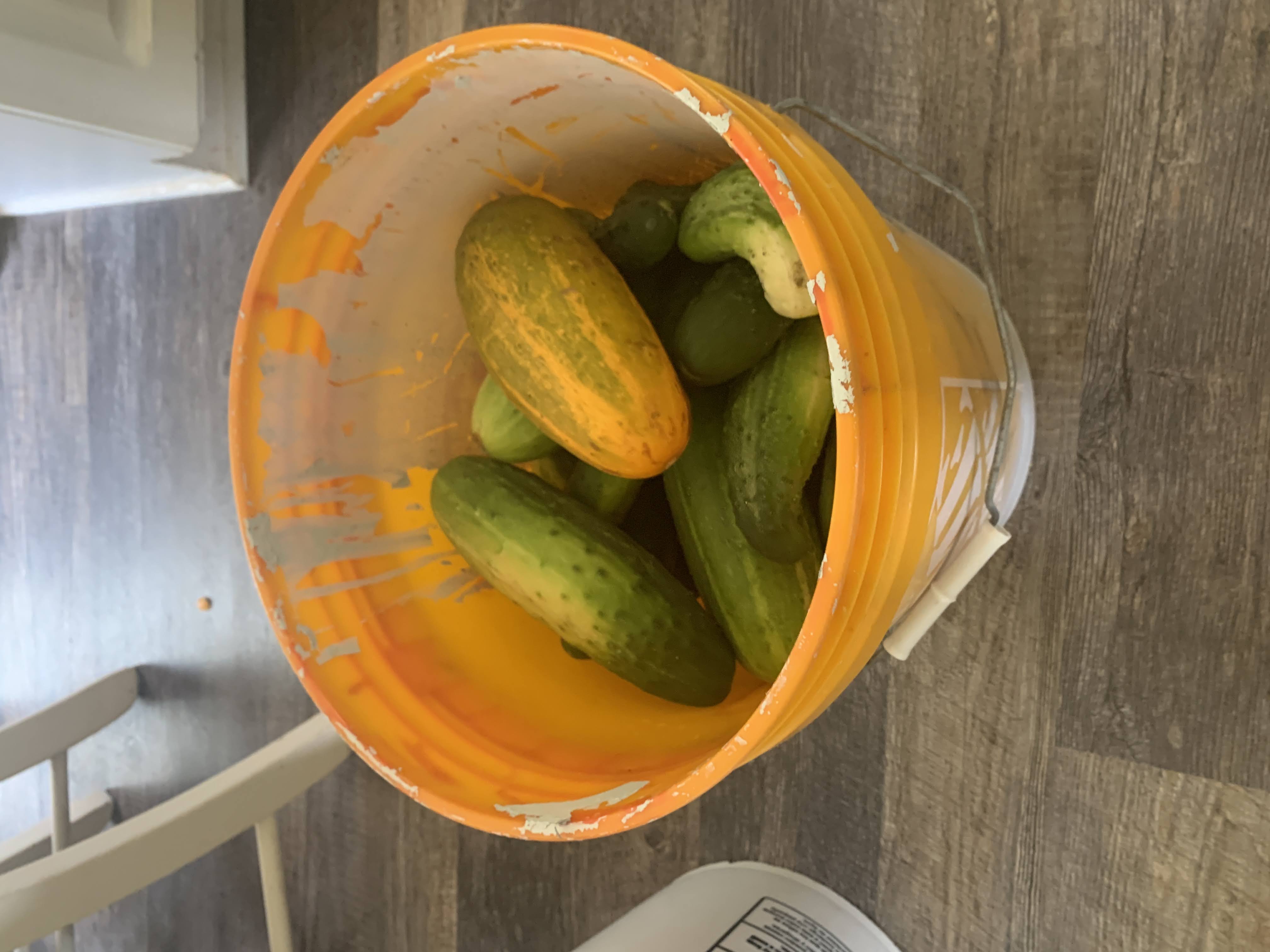 Harvest 2022